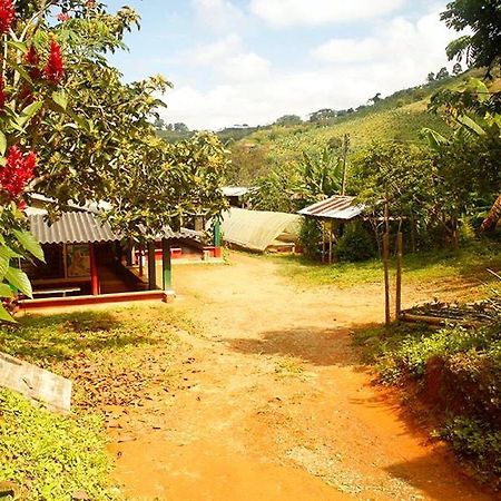 Caficultur -Alojamiento Rural Buenavista  Dış mekan fotoğraf